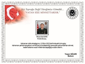 Şehidin Var Türkiye!