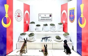 Diyarbakır'da  350 kilogram esrar operasyonu