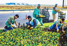  Caddeler kışlık 1 milyon 200 bin çiçekle süslenecek