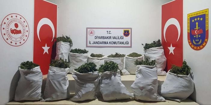 Uyuşturucu operasyonunda 240 kilogram esrar ele geçirildi