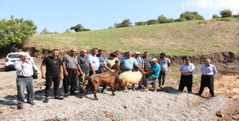 Hatay'da depremzedeler mevlit okuttu