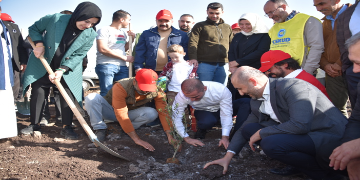 THY'den Şanlıurfa'ya 90 bin meyve fidanı