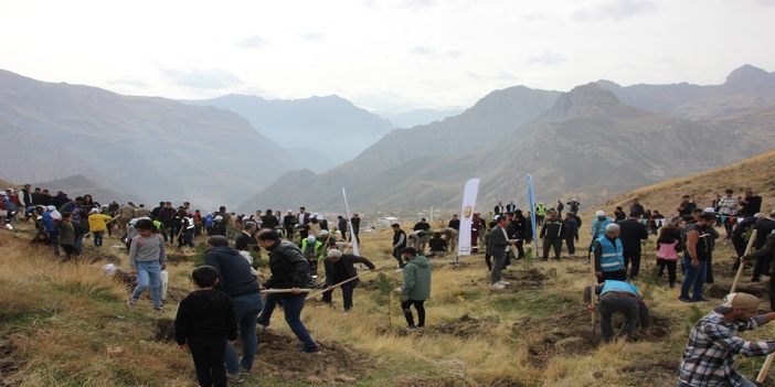 Van, Bitlis, Hakkari ve Muş'ta fidanlar toprakla buluşturuldu