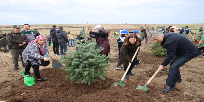 Trakya'da 43 bin 126 fidan toprakla buluşturuldu