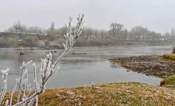 Dicle Vadisi, kırağı ile birlikte beyaza büründü