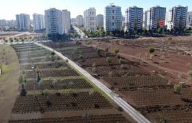 (Video) Tıbbi aromatik bitki bahçesi şehre güzel koku yayacak