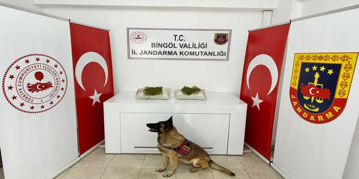 Bingöl'de 12 kilo 550 gram esrar ele geçirildi