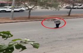 Yolu trafiğe kapatan silahlı gangster gözaltında