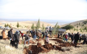 Daha yeşil bir Diyarbakır için kollar sıvandı