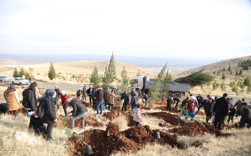 Daha yeşil bir Diyarbakır için kollar sıvandı