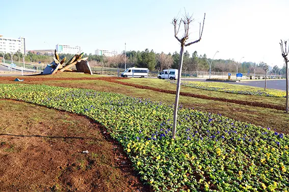 Diyarbakır Büyükşehir Belediyesinden peyzaj çalışması