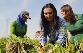 Yüksekdağ’ın acı günü