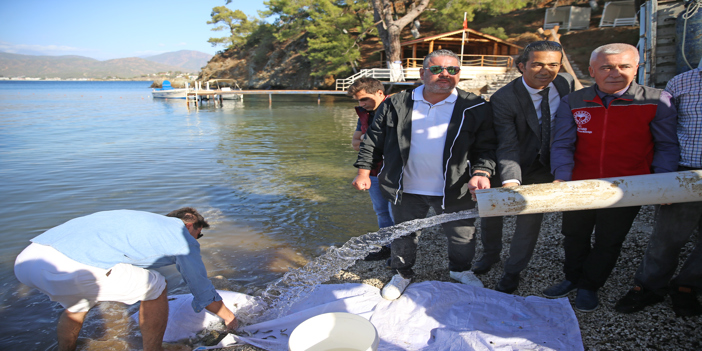 Fethiye'de 200 bin levrek yavrusu denize salındı