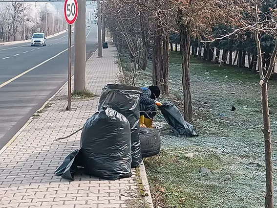 Çevre temizliği