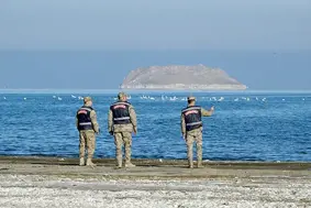 Van Gölü'nde konaklayan kuğular jandarmanın koruması altında