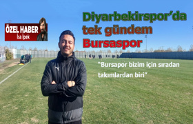 Tek gündem Bursaspor