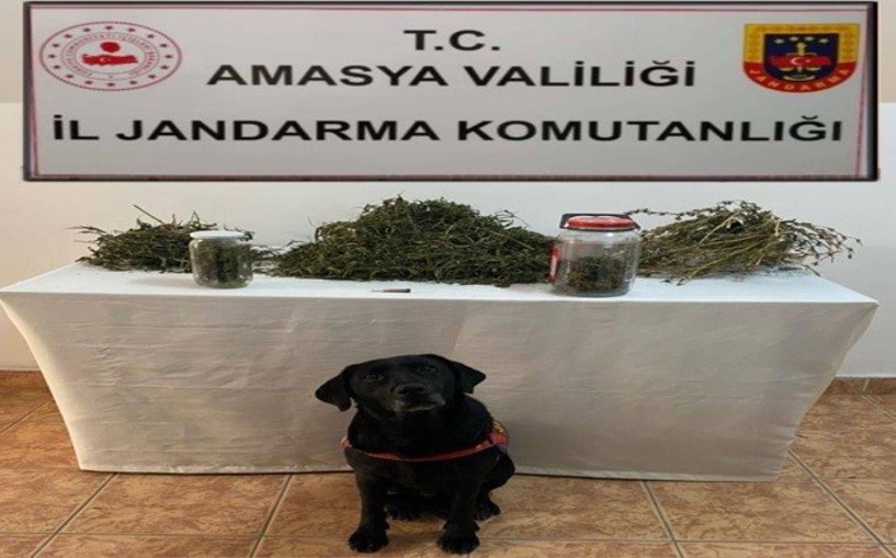 Amasya'da uyuşturucu operasyonu