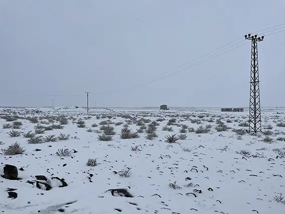 Kar, yurdu etkisi altına aldı