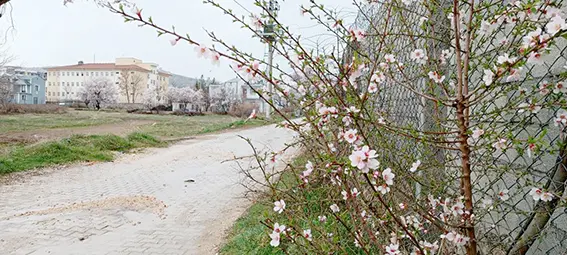 Dicle’de renk cümbüşü