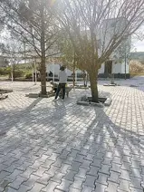 Kırsala parke döşemesi