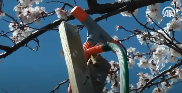 (Video) Diyarbakır için 'zirai don' uyarısı