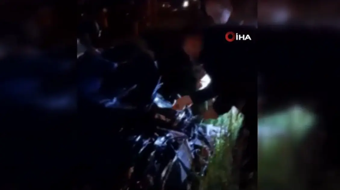 (Video) Diyarbakır’da otomobil mandalara çarptı