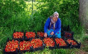 Fotoğraf tutkunları Sason'un doğal güzelliklerini objektiflere yansıttı