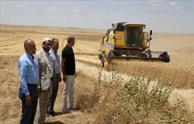 Diyarbakır'da 9 kişinin ölümüne neden olan tarlada hasat, barış heyeti gözetiminde başladı