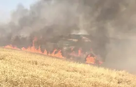 200 dönümlük buğday yandı