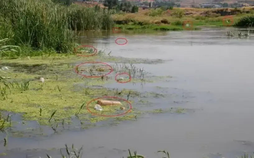 Piknikçilerin kirlettiği Dicle Nehri için uyarı; Yazıklar olsun!