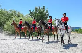 Van Emniyet Müdürlüğü bünyesinde 