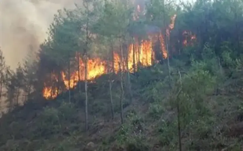 Osmaniye'de orman yangını çıktı