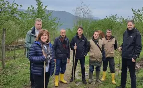 TARSİM heyeti, Ordu ve Giresun'daki fındık hasarlarını inceledi