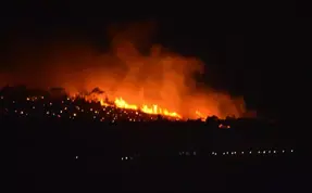 Ayvalık'ta yangın kontrol altına alındı