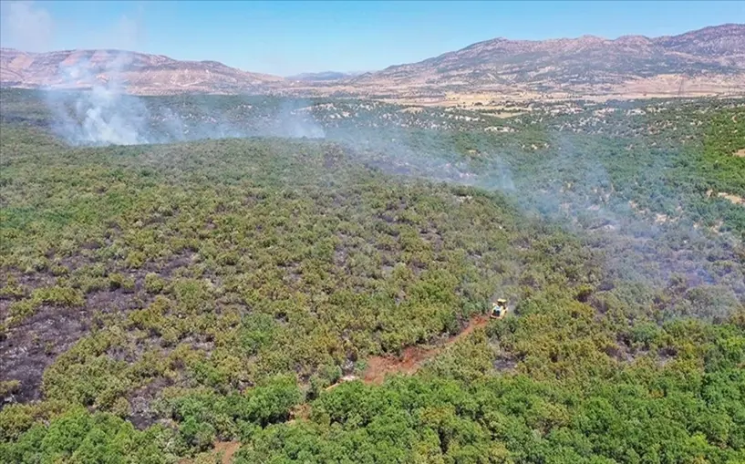 Lice'de çıkan orman yangını söndürüldü