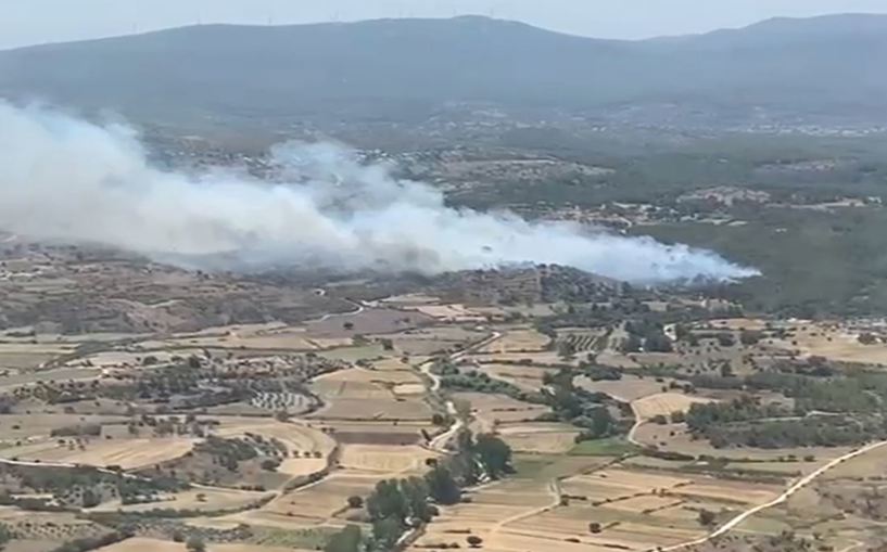 (Video) Yangına müdahale devam ediyor