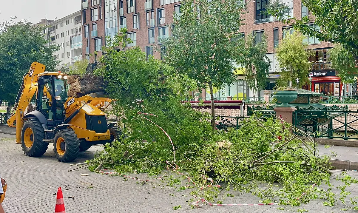 Eskişehir'de kuvvetli rüzgar ağacı devirdi