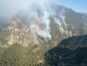 Bolu'da yıldırım düşmesi sonucu orman yangını çıktı