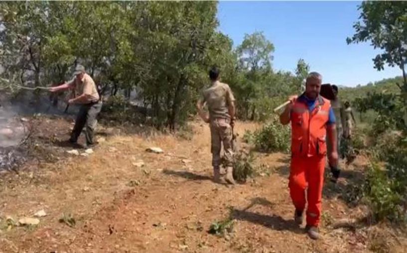 (Video) Diyarbakır’da çıkan örtü yangını kontrol altına alındı