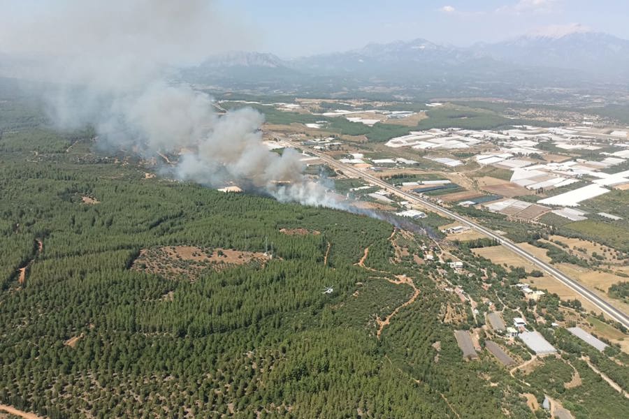 Antalya'nın Aksu ilçesinde orman yangını çıktı