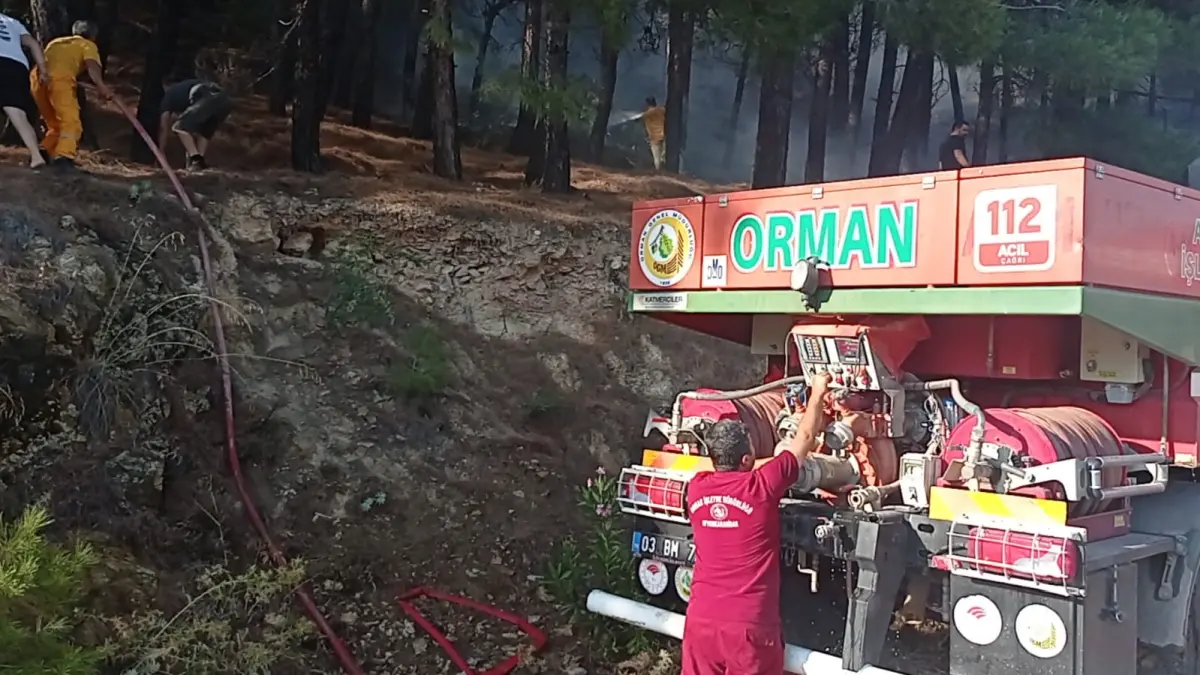 Muğla'da orman yangını çıktı