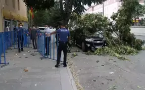 Erzincan'da fırtına çatıları uçurdu, ağaç dallarını kırdı