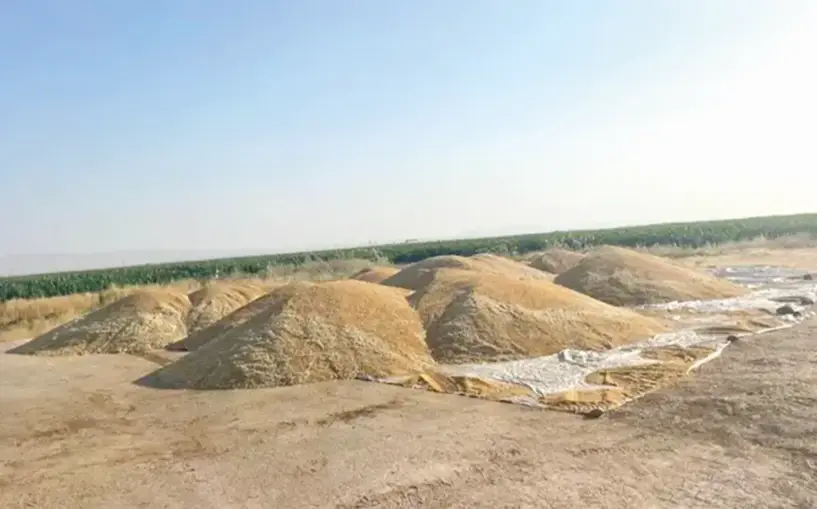 Diyarbakır’da TMO siloları boşaltmadı: Randevu yok, çiftçi zararda