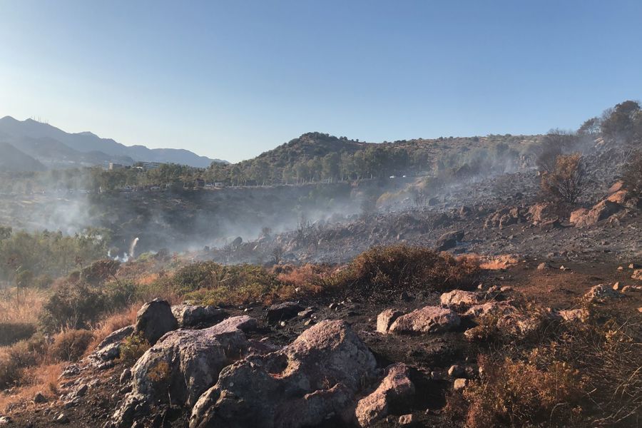 Bodrum'da makilik ve otluk alanda çıkan yangın söndürüldü