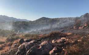 Bodrum'da makilik ve otluk alanda çıkan yangın söndürüldü