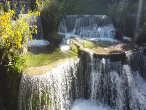 Erzincan'da kavurucu sıcaklardan kaçanlar 