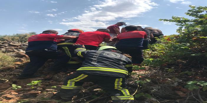 Denizli'de kamyonetin şarampole devrilmesi sonucu 1 kişi öldü, 5 kişi yaralandı