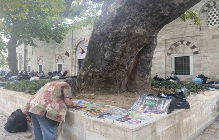 Beyazıt Meydanı’nın çınarı Hüseyin Avni Dede: 58 yıldır adının verildiği ağacın altında