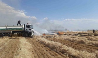 Konya’da arpa ekili tarladaki yangında badem ağaçları zarar gördü