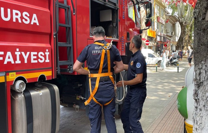 (Özel) 152 yıllık anıt ağaçta mahsur kalan kuş itfaiye ekipleri tarafından kurtarıldı